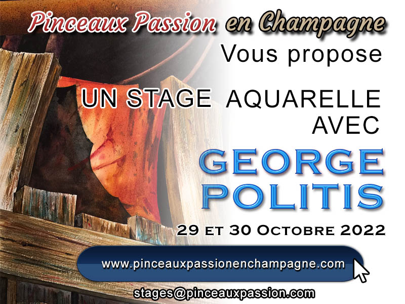 stage George Politis Octobre
