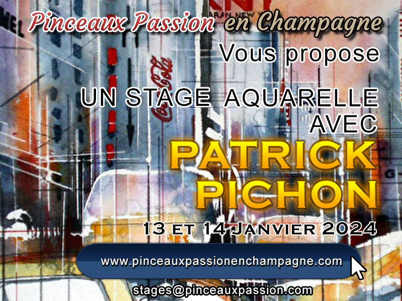stage Patrick Pichon Janvier